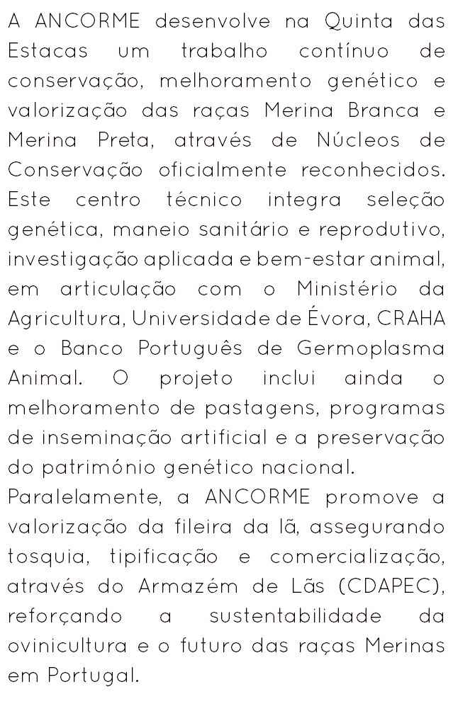 A ANCORME desenvolve na Quinta das Estacas um trabalho contínuo de conservação, melhoramento genético e valorização das raças Merina Branca e Merina Preta, através de Núcleos de Conservação oficialmente reconhecidos. Este centro técnico integra seleção genética, maneio sanitário e reprodutivo, investigação aplicada e bem-estar animal, em articulação com o Ministério da Agricultura, Universidade de Évora, CRAHA e o Banco Português de Germoplasma Animal. O projeto inclui ainda o melhoramento de pastagens, programas de inseminação artificial e a preservação do património genético nacional.
Paralelamente, a ANCORME promove a valorização da fileira da lã, assegurando tosquia, tipificação e comercialização, através do Armazém de Lãs (CDAPEC), reforçando a sustentabilidade da ovinicultura e o futuro das raças Merinas em Portugal.