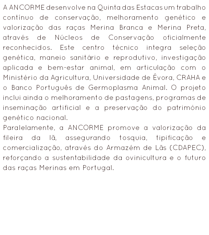 A ANCORME desenvolve na Quinta das Estacas um trabalho contínuo de conservação, melhoramento genético e valorização das raças Merina Branca e Merina Preta, através de Núcleos de Conservação oficialmente reconhecidos. Este centro técnico integra seleção genética, maneio sanitário e reprodutivo, investigação aplicada e bem-estar animal, em articulação com o Ministério da Agricultura, Universidade de Évora, CRAHA e o Banco Português de Germoplasma Animal. O projeto inclui ainda o melhoramento de pastagens, programas de inseminação artificial e a preservação do património genético nacional.
Paralelamente, a ANCORME promove a valorização da fileira da lã, assegurando tosquia, tipificação e comercialização, através do Armazém de Lãs (CDAPEC), reforçando a sustentabilidade da ovinicultura e o futuro das raças Merinas em Portugal.