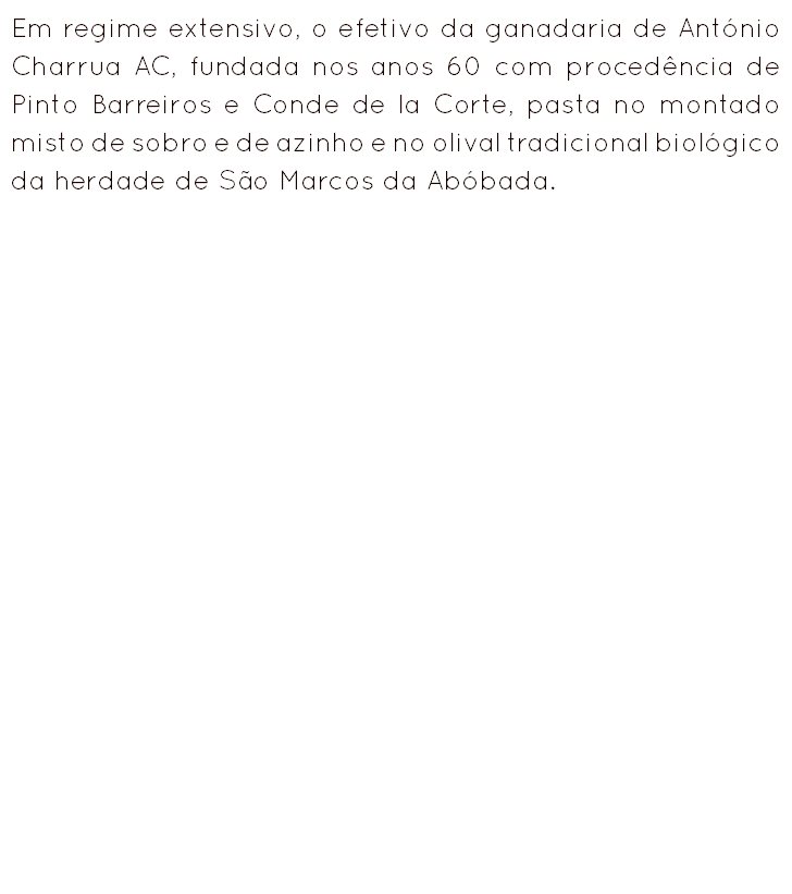 Em regime extensivo, o efetivo da ganadaria de António Charrua AC, fundada nos anos 60 com procedência de Pinto Barreiros e Conde de la Corte, pasta no montado misto de sobro e de azinho e no olival tradicional biológico da herdade de São Marcos da Abóbada.